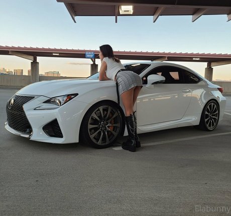 elabunny 完璧なスター 画像