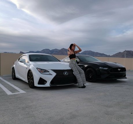 elabunny ポルノスター 画像