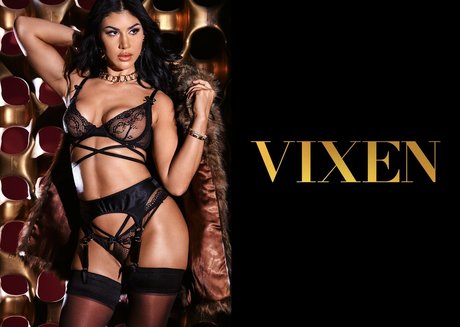 MissQueenieXOX xxxポルノスター 写真