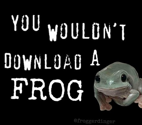 ジムガールズオンリーファンズ 素敵 写真