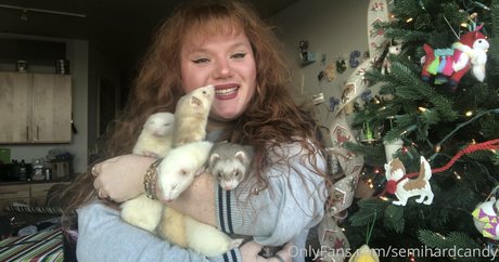 tragedyann 限定モデル 画像