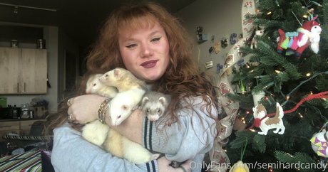 tragedyann スター ヌード 画像