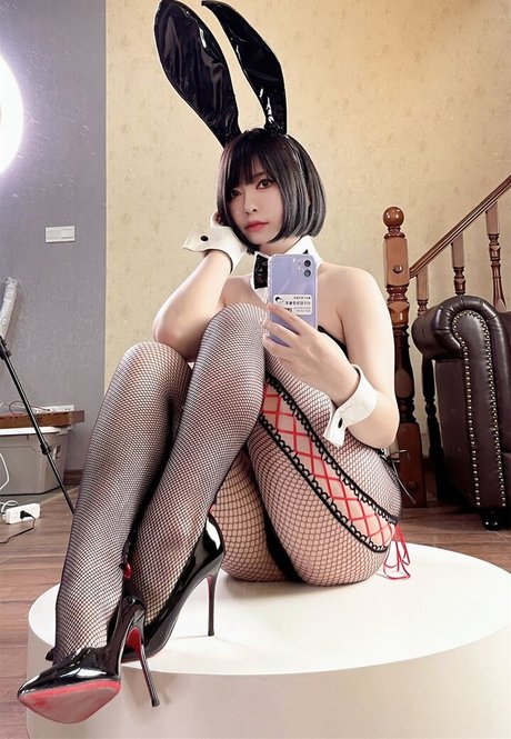 Banbanko HDスター 写真