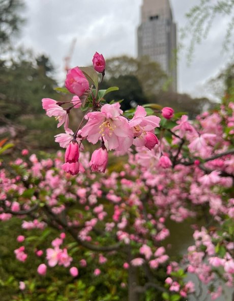 yosadthiccgirl ホットモデル ギャラリー