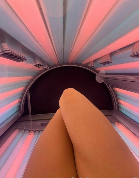 susy3 無料スター ギャラリー