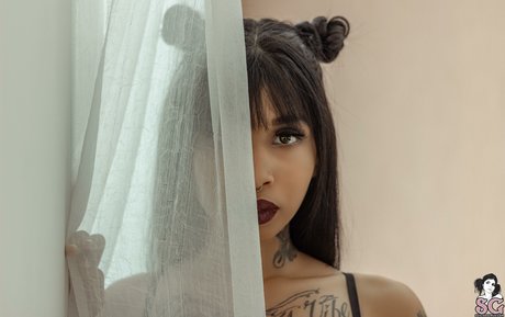 Myllaka SG 限定モデル 画像