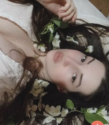 家族限定ファン 無料セックス 写真