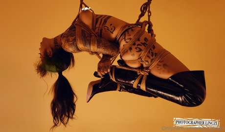 bigcatmia 最高のポルノスター 写真