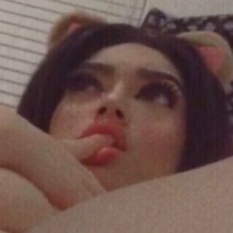 Valfirebite ホットなスター 画像