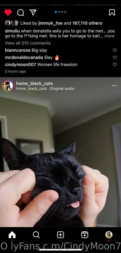 ジンジャートゥインクオンリーファンズ アダルト ギャラリー