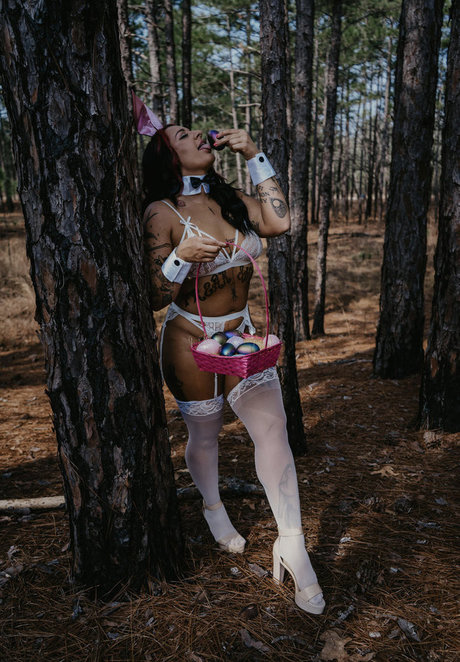 Demoncakes 限定モデル 写真