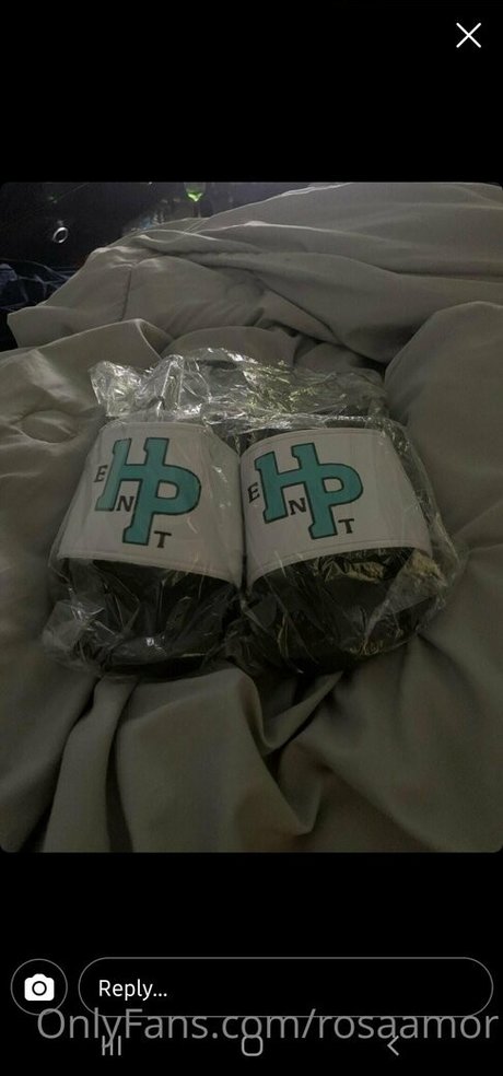 ブルネットの猫OnlyFans エロ 写真