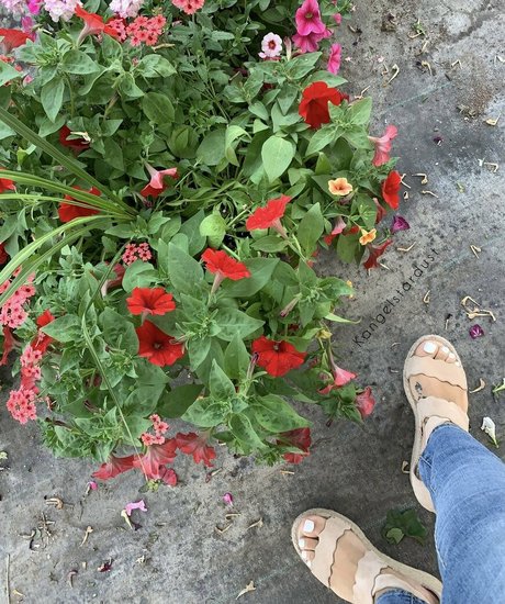 フィットネスアナルOnlyFans 美しい裸 写真