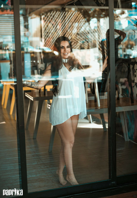 家族限定ファン トップ アーカイブ