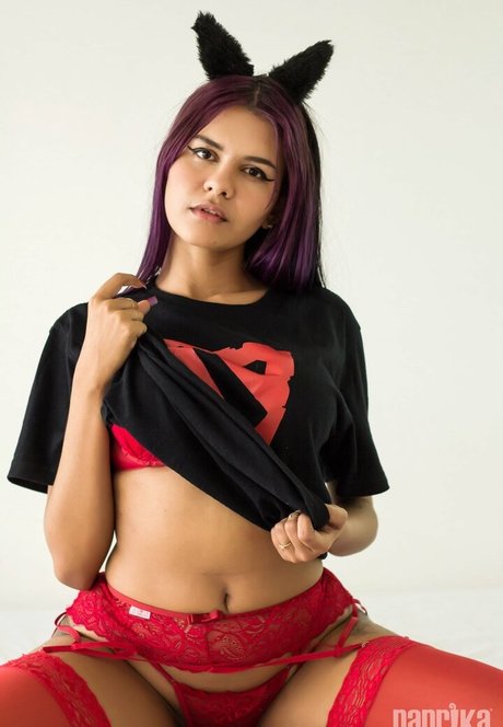 Paprika ホットモデル 画像