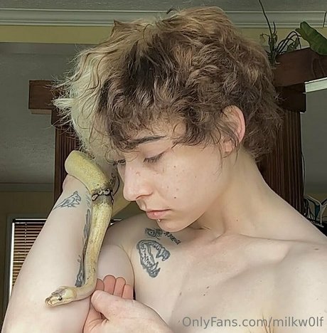 milkw0lf 美しいスター 画像