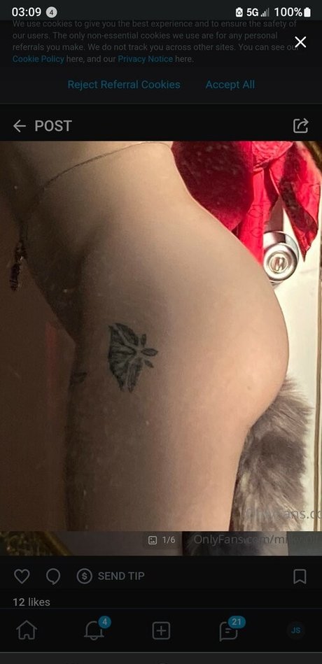 milkw0lf 無料スター ギャラリー