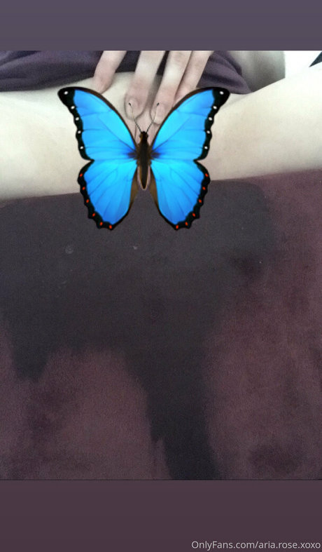 aria rose xoxo ポルノスター ヌード 写真