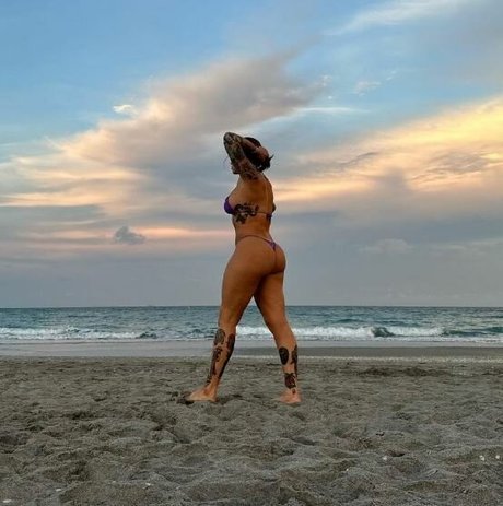 RobbieCal アートスター アーカイブ