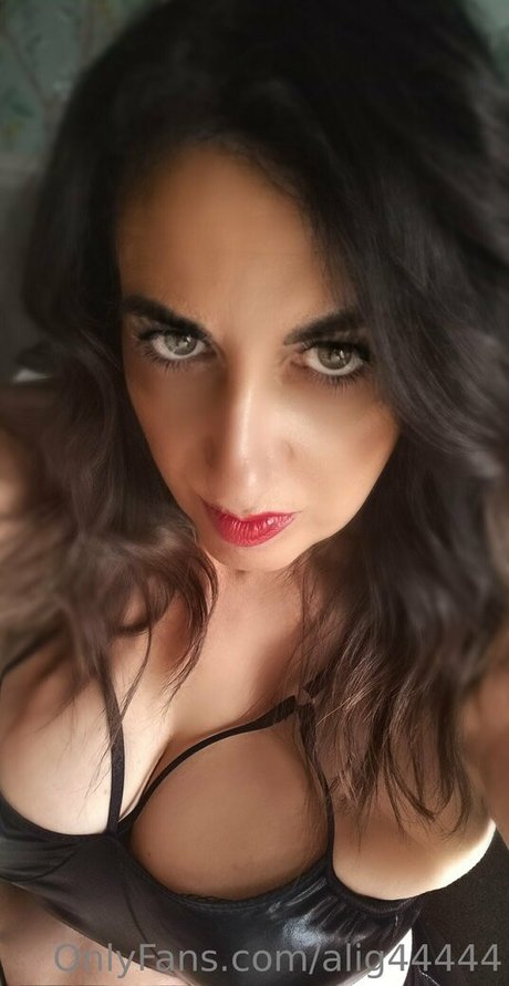 alig44444 HDモデル 画像