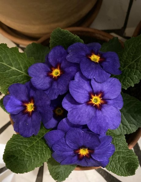 ラバーオンリーファン ホット 画像