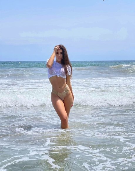 Adalline 素敵なスター 写真