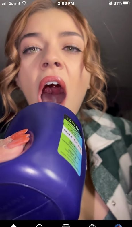 Koala Puffs かわいいスター 画像