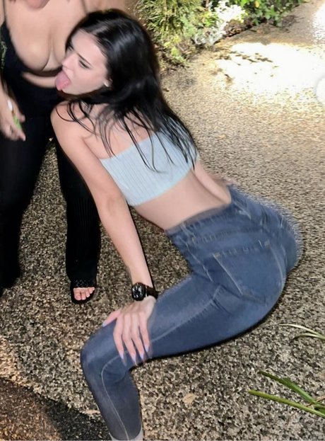 Koala Puffs HDモデル ギャラリー