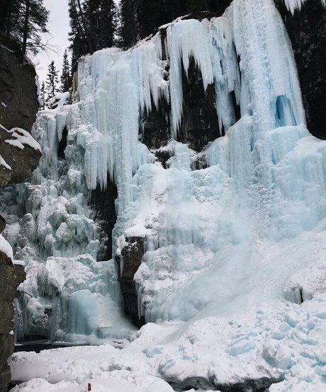 巨根フェムボーイOnlyFans セクシー裸 写真