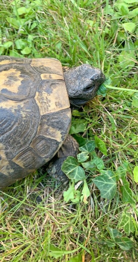 kawaii love 完璧な女優 写真