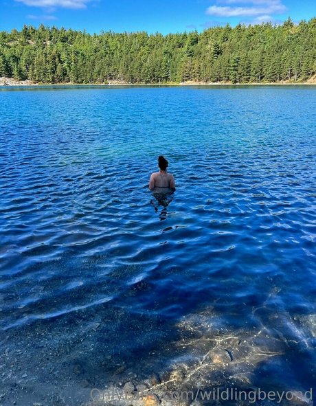 wildlingbeyond 高品質のスター 写真