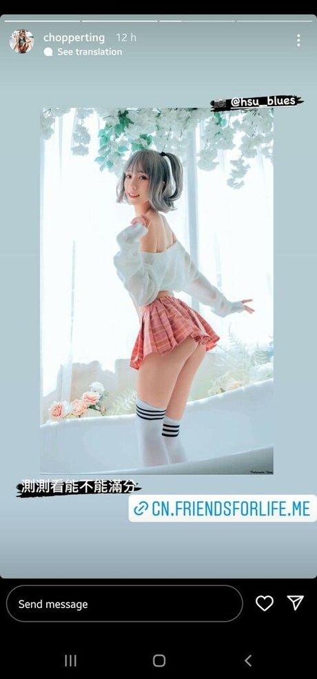 Chopperting モデル ギャラリー