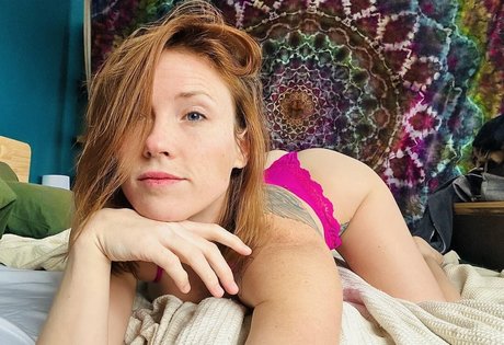 Skyra Fox HDスター 写真