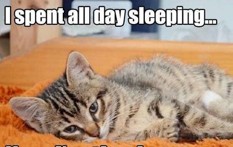 nicoleauclairfree ヌードのポルノスター 画像