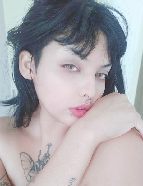 Lollygun ポルノモデル 写真