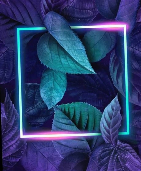 BBW 無料 オンリーファンズ ポルノ 画像