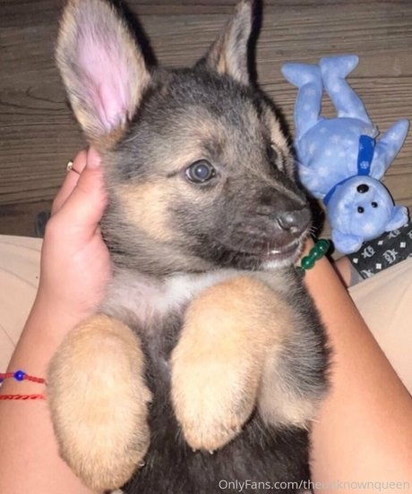 曲線美のランジェリーOnlyFans ホットxxx ギャラリー