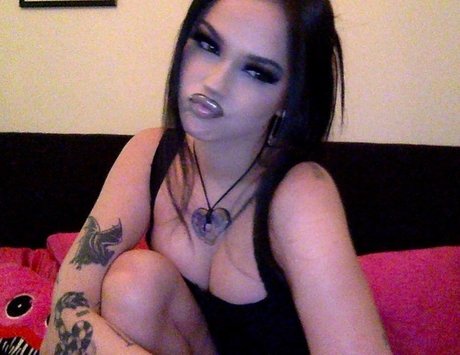 クーガーオンリーファンズ ホット 画像