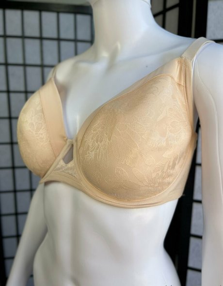 alexapearl 独占スター アーカイブ