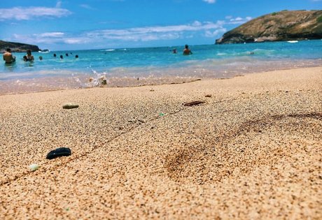 Megan Aisoff ポルノスター xxx 画像