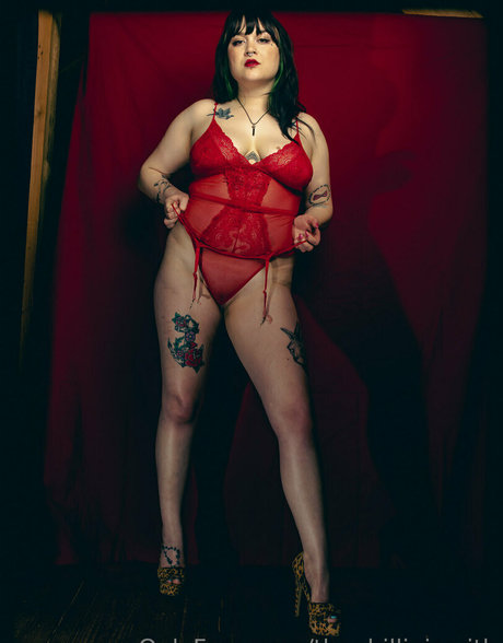 thephillipjsmith ホットスター ギャラリー