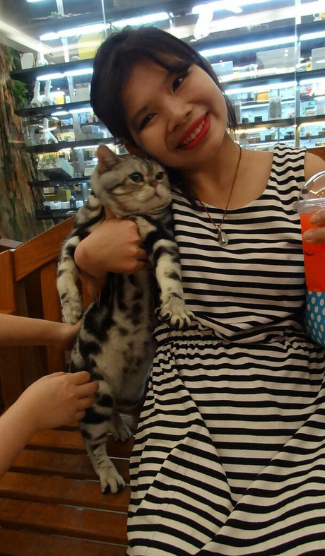 TukTuk Patrol 完璧なモデル 写真