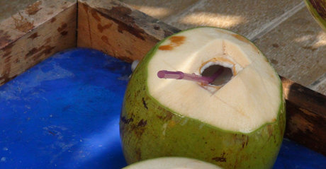 TukTuk Patrol ポルノスター 素敵 アーカイブ