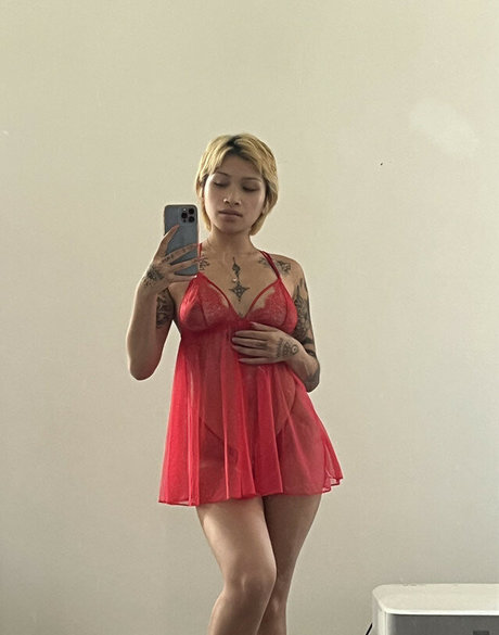 VenusMatrix ホットスター 写真