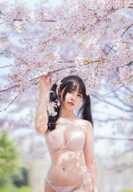 YourDrug66 ポルノスター 写真