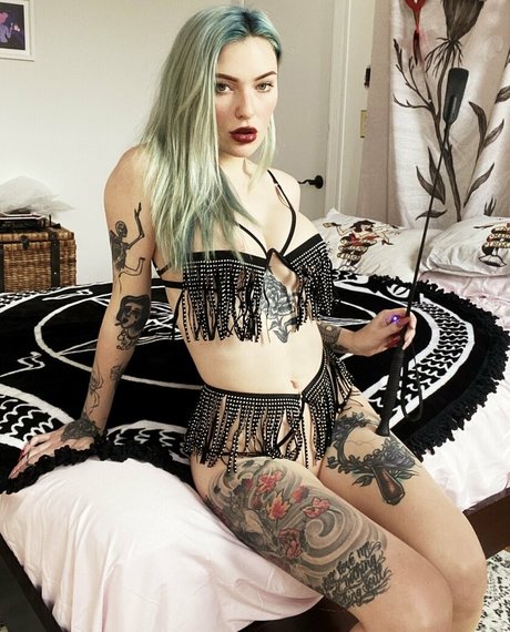 itsfreetorro かわいいスター 写真