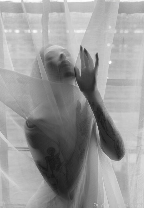 itsfreetorro 素敵なスター 画像