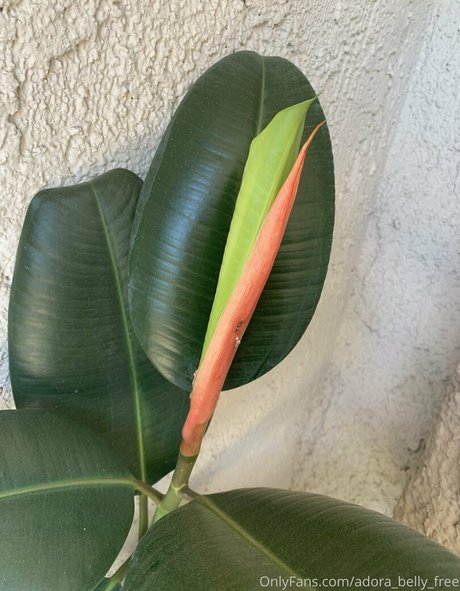 ヒジャブオンリーファン セクシーヌード 写真