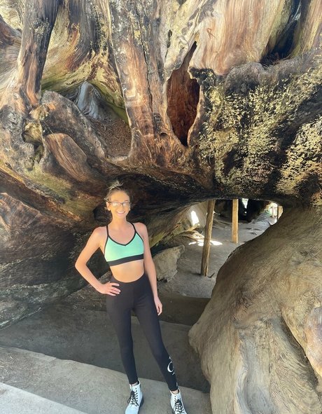 tallielorain 限定スター 画像