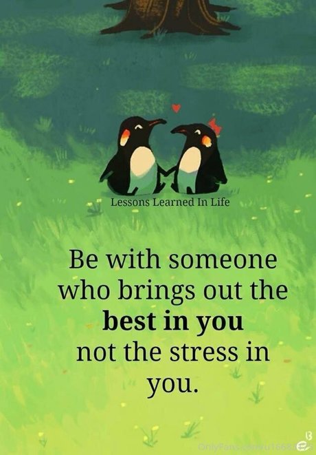 vaniljepus アダルトスター 画像